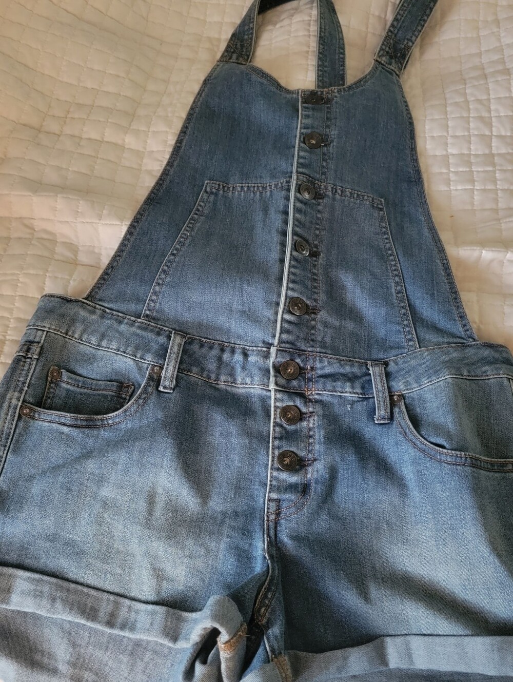 Free People Overall Shorts